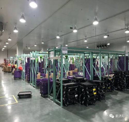 智能系统赋能，我区企业高效服务全省200余家统一银座仓储配送